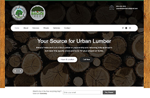 Public Relations, Marketing,  Responsive website design