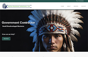 Native Business Solutions, LLC, Responsive website design