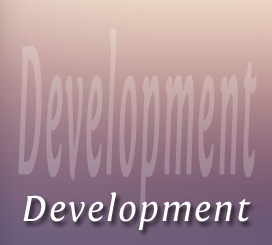 Website Development Phase 3